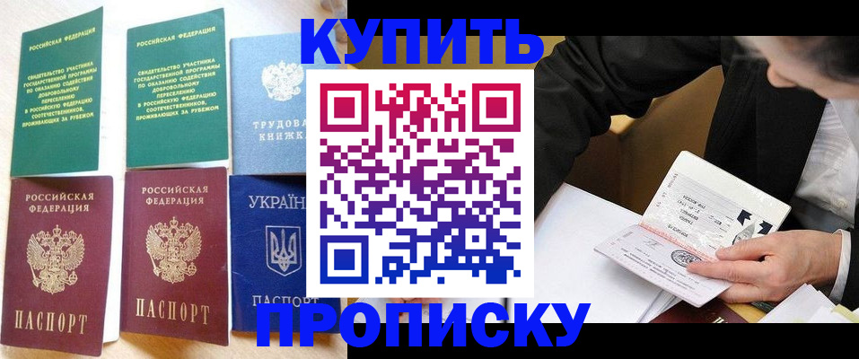 прописка для школы в Коряжме